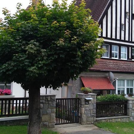 Apartament Byt - Apartman Větřní Zewnętrze zdjęcie